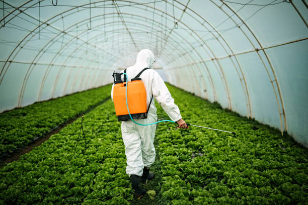 Best Local Pest Control Services  in Rkside, PA