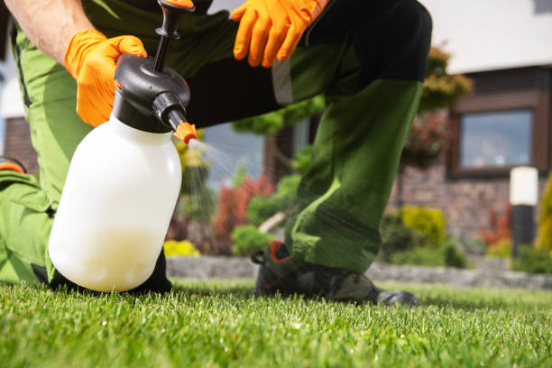 Best Mosquito Control Services  in Rkside, PA