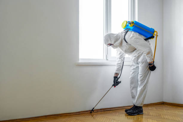 Best Exterminator Services  in Rkside, PA